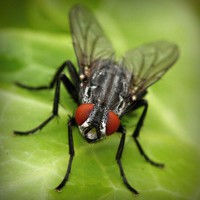 /album/samuelsantibanez/photolia-a01-jpg/