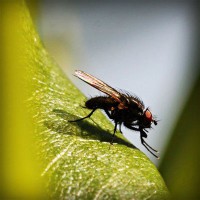 /album/samuelsantibanez/photolia-a04-jpg/