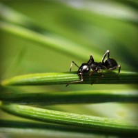 /album/samuelsantibanez/photolia-a05-jpg/