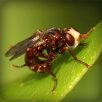 /album/samuelsantibanez/photolia-a06-jpg/