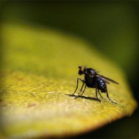 /album/samuelsantibanez/photolia-a07-jpg/