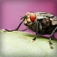 /album/samuelsantibanez/photolia-a08-jpg/